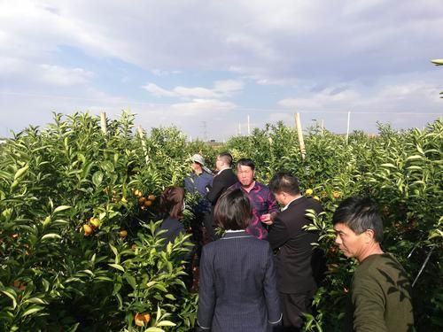 【永仁县最新数据播报:寻找同轨迹人员,永仁县扫黄最新消息】