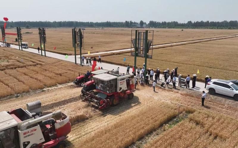 【专家:鸡泽县每年或现多个感染高峰,鸡泽县最新新闻】