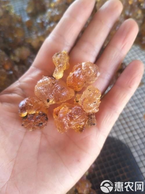 【发现安徽省芜湖市湾沚区1名密接者!_一亩桃树能产多少桃胶】