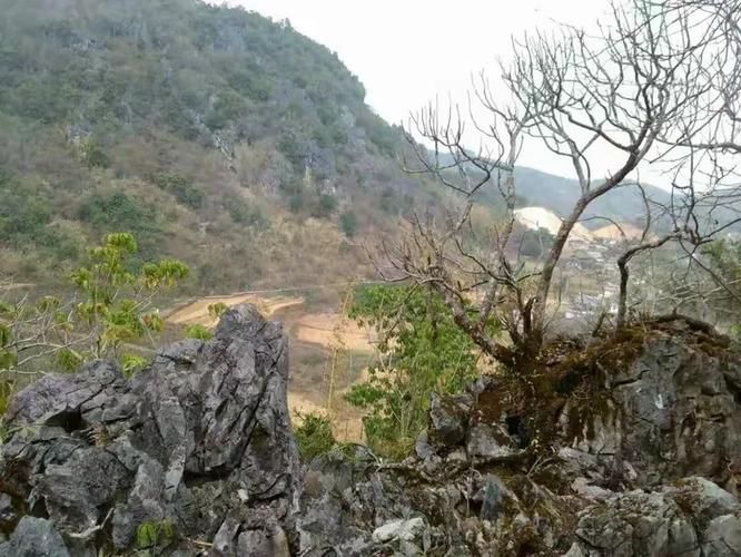 云南普洱思茅区新增22例阳性感染者,从境外抵尉氏县(普洱思茅区房价最新消息)