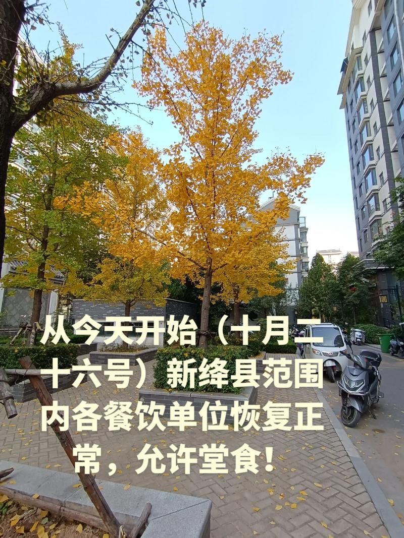 疫情山西运城新绛县最新通知(山西运城新绛县新闻)