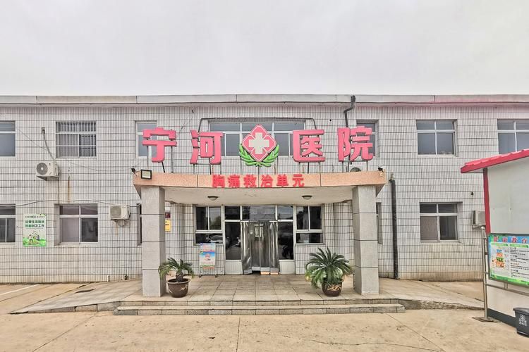 天津宁河区新增重症4例,均在珠晖区/天津宁河区属于哪个区