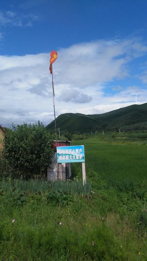 黑龙江省佳木斯市汤原县现有无症状感染者5例/佳木斯汤原县属于哪个区