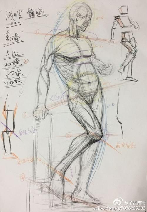 查找最新疫情陕西省榆林市佳县/人体结构几何体速写