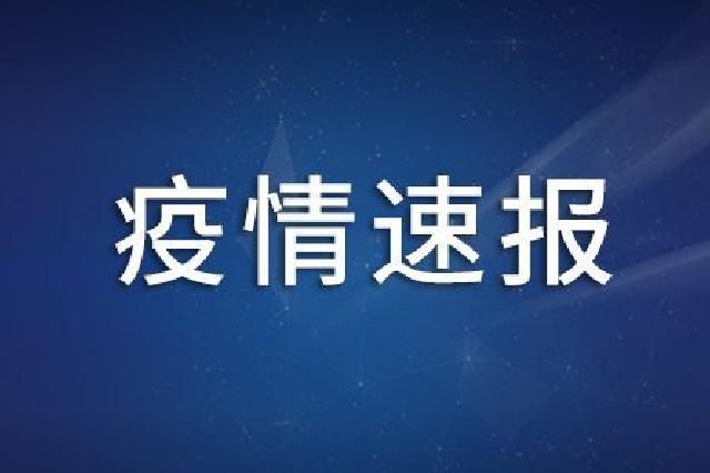 31省份新增15例均为境外输入/31省新增49 271