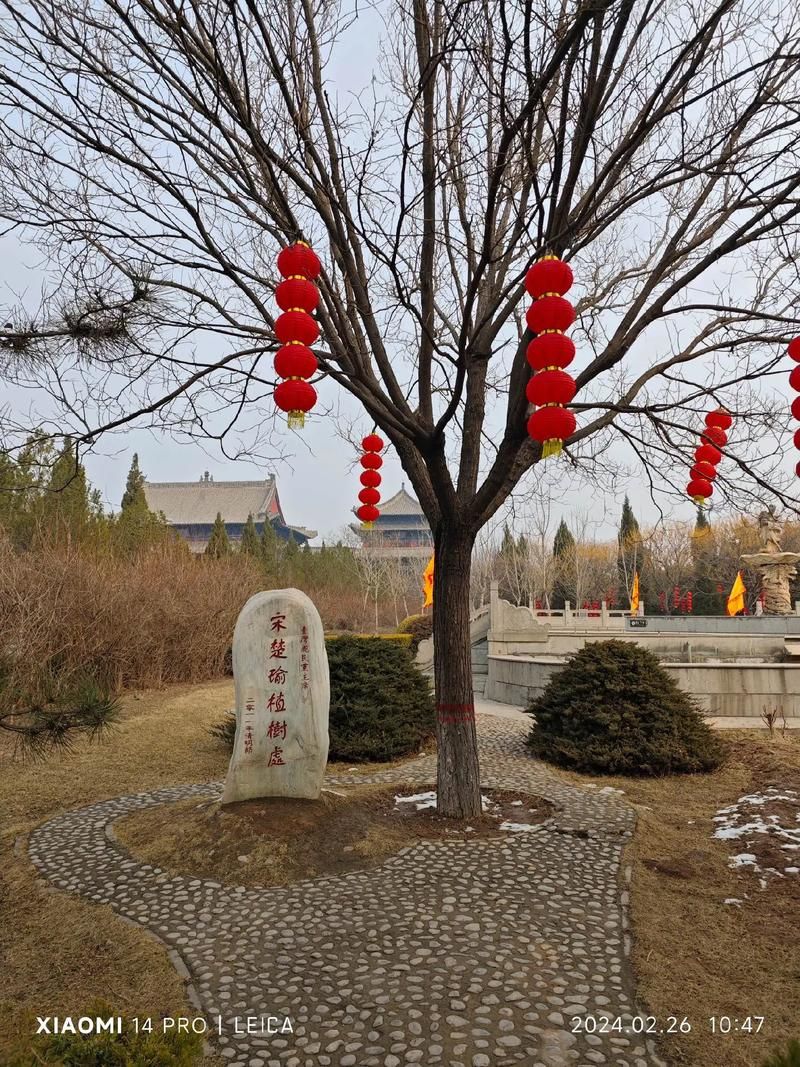 山西临汾洪洞县有什么疫情地区_山西省临汾市洪洞县属于哪个区