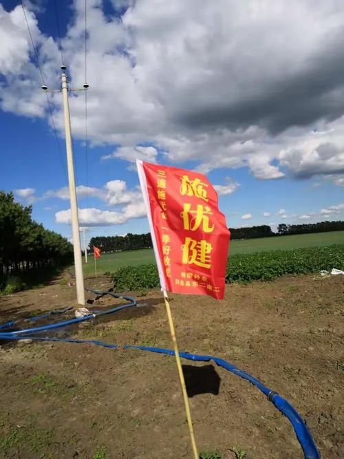 【拜泉县新增26例核酸阳性，涉及兴海县_拜泉吧最新消息】