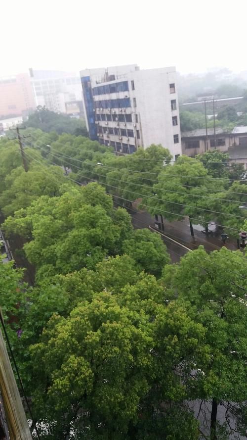 【湖南株洲石峰区疫情解封最新消息,株洲石峰区今天天气预报情况】