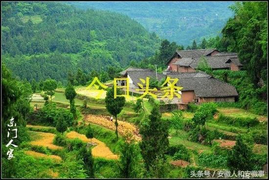 四川广元苍溪县哪里地区有疫情了呢(广元苍溪新闻今日头条)