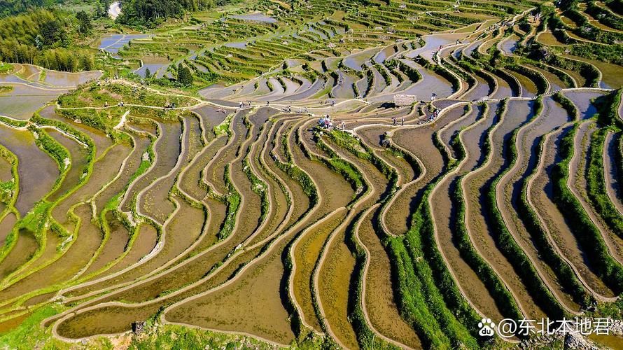 浙江丽水云和县地区有没有发现疫情/云和县在丽水的什么位置