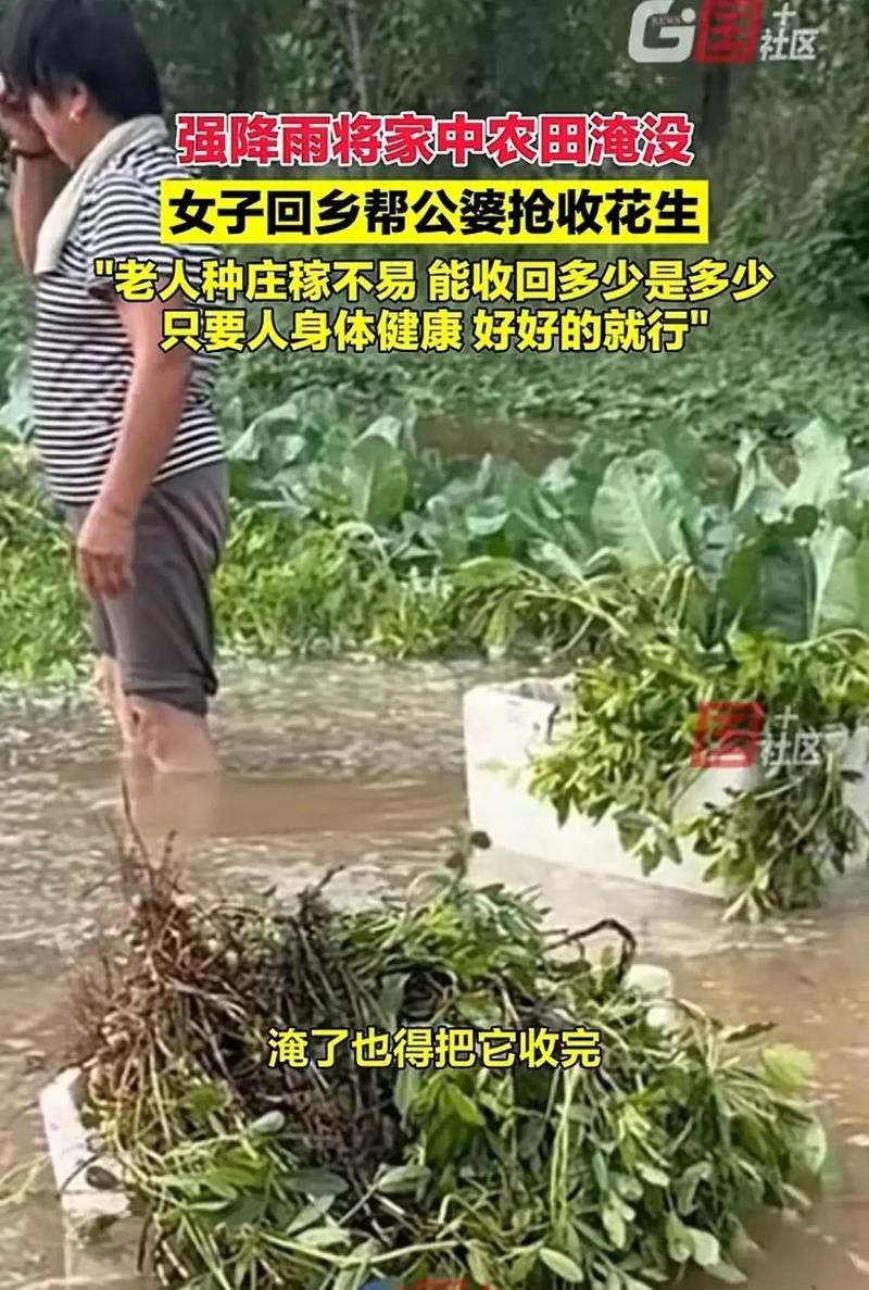  7月6日河南省商丘市永城市最新消息疫情:商丘永城贴吧最新消息