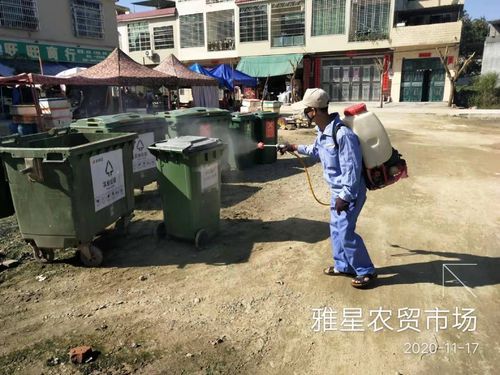 雅星镇地区有没有发现疫情(雅星镇政府信息公开)