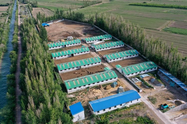 新疆维吾尔自治区伊犁哈萨克自治州伊宁最新疫情进展信息/伊宁县最新新闻