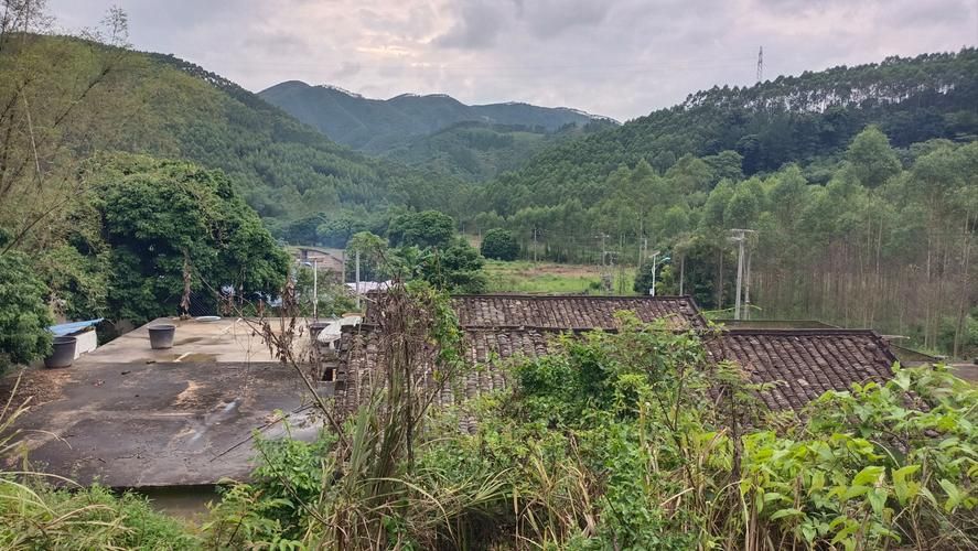 【博白县发现1名密接者!,博白6月12号最新消息】