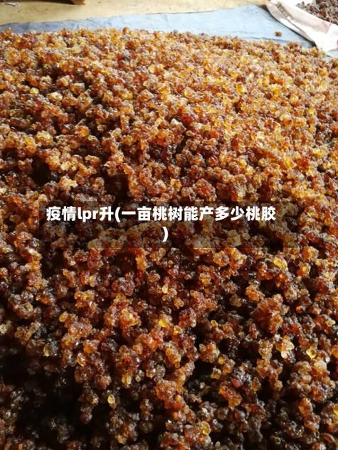 江苏省盐城市滨海县今日无新增核酸阳性(一亩桃树能产多少桃胶)