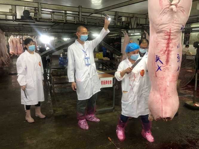 【31个省份新增死亡病例29例广西壮族自治区百色市田东县23例,广西病毒感染死亡人数】