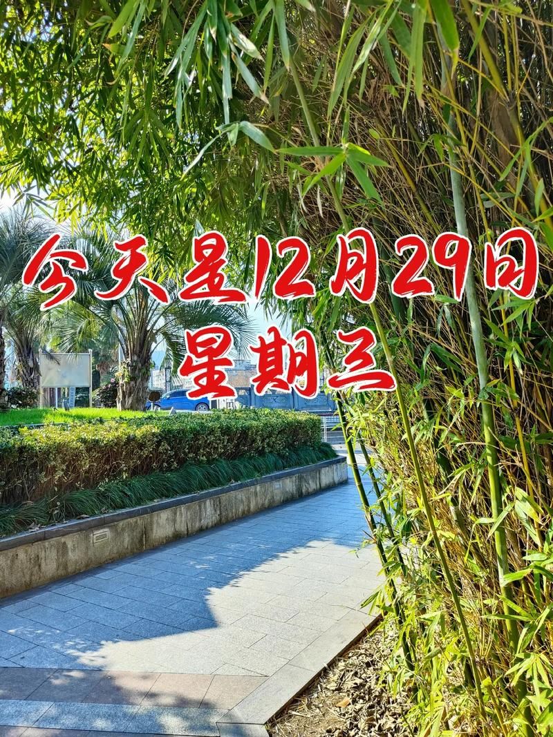 【12月29日疫情有望今日结束_2022年12月29日到今天多少天】