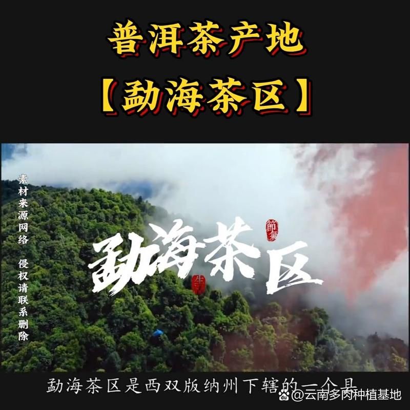 云南省西双版纳傣族自治州勐海县疫情还在新增吗今天/云南西双版纳勐海勐怎么样