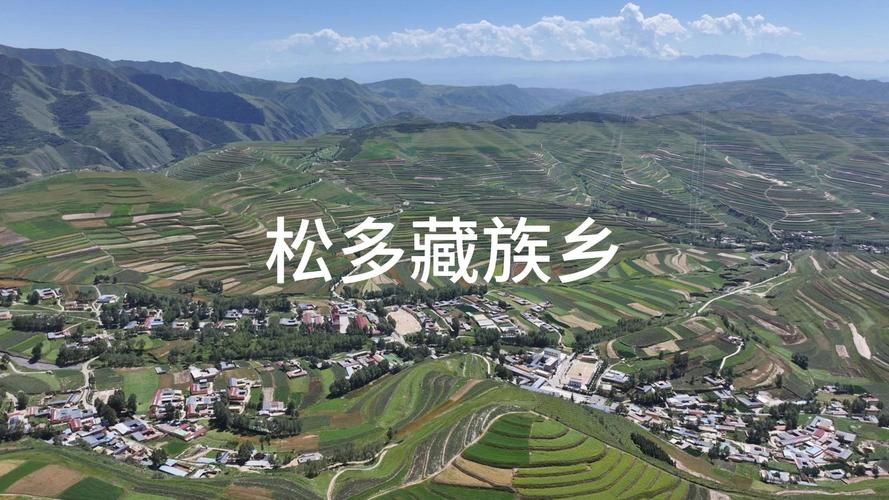 青海省海东市互助土族自治县最新疫情情况通报_青海互助最近新闻