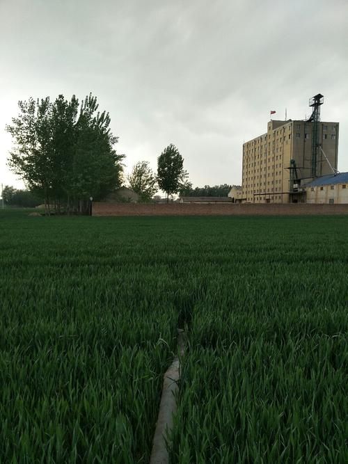 疫情防控中风险地区!山东德州夏津县/山东德州夏津区号