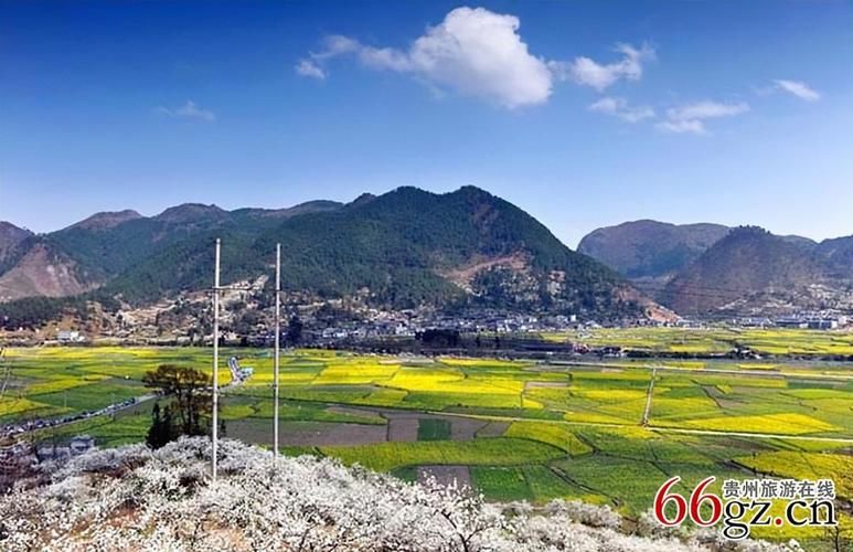 贵州黔南布依族苗族自治州贵定县有什么疫情地区/贵定县最新公告
