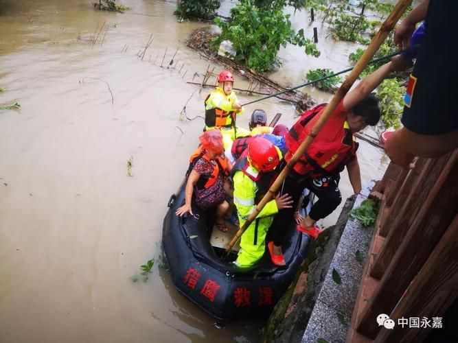 浙江温州乐清首例死亡病例来源公布/乐清灾情