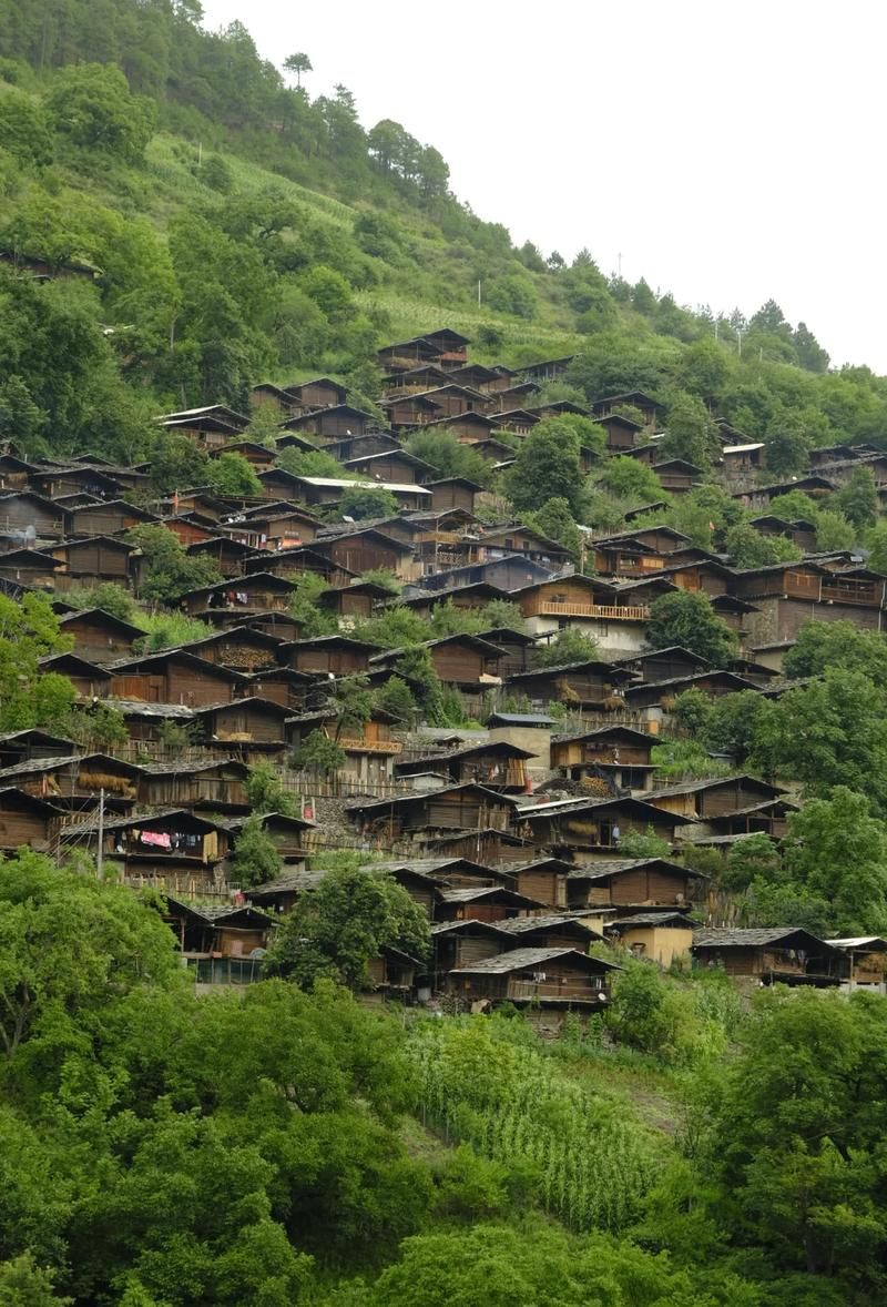 一张图看懂维西傈僳族自治县昨日活动轨迹/维西傈僳族自治县人民政府