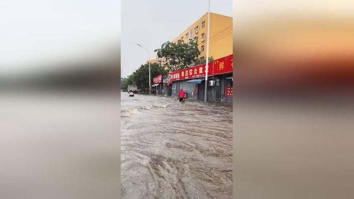 疫情视频最新莲池区:莲池区暴雨最新情况