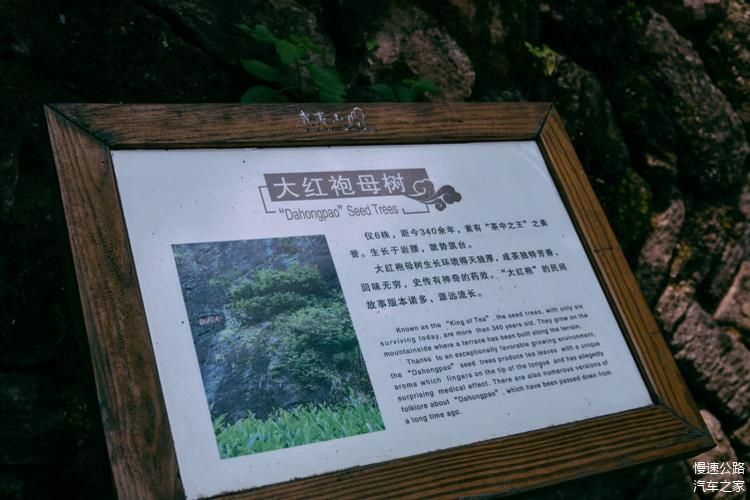 疫情分布图最新福建省南平市武夷山市:14油耗投多少钱一公里