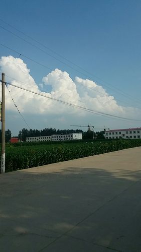 最新疫情情况通报叶县(叶县最近一周天气预报)