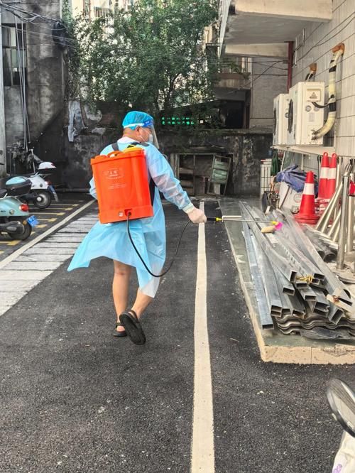 来凤县疫情最新实数据_来凤县属于哪个区