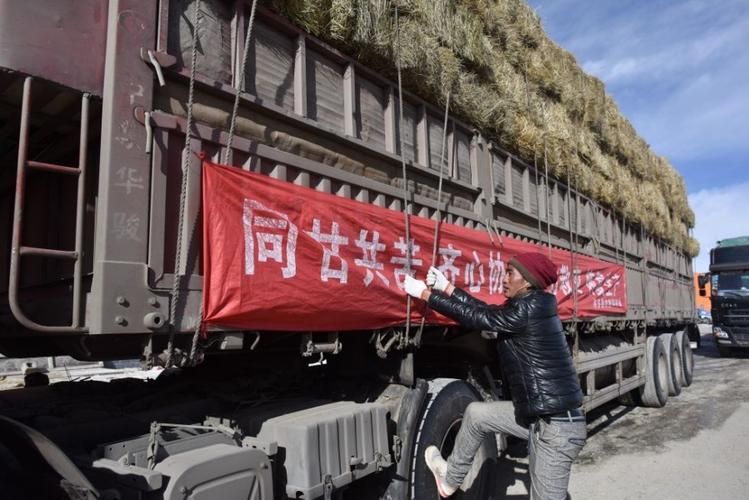 包含荆州区新增12例死亡病例,从境外抵青海玉树藏族自治州称多县的词条