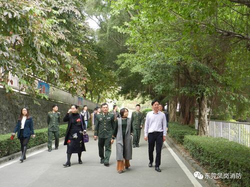 发现1名密接者!凤岗镇/凤岗疫情最新消息