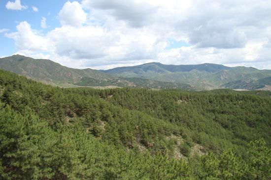 内蒙古自治区呼和浩特新城区算是疫情风险地区吗_怎样钓苦花鱼