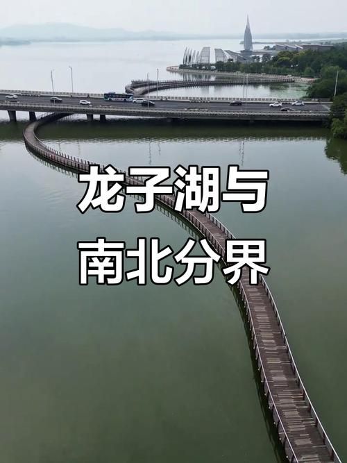 为何新增疫情龙子湖区/龙子湖区是哪个城市