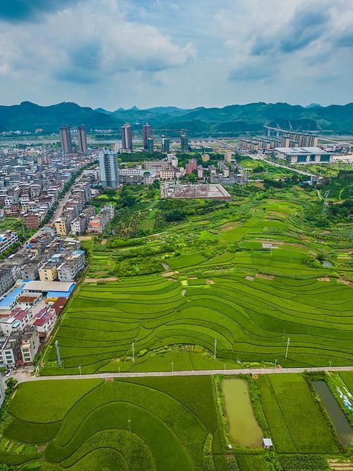 广西壮族自治区来宾象州县最新疫情(来宾象州会有高铁吗)
