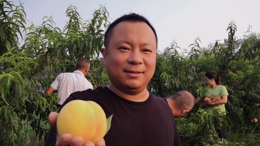 老河口最新通告:所有人员封城/老河口市这几天凉快了吗最近