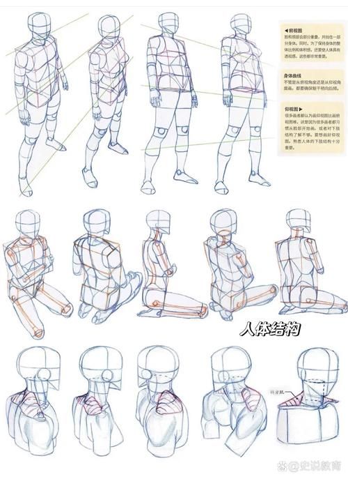 最新疫情情况通报南丰镇(人体结构几何体速写)