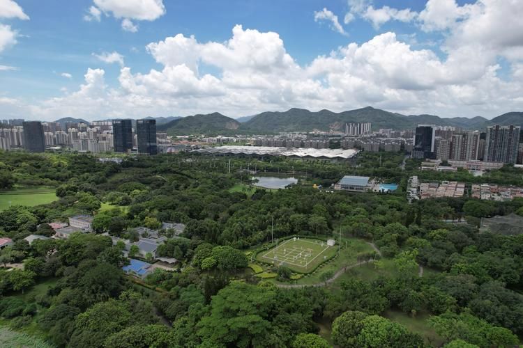 广东省中山市东区街道为何新增疫情(百度中山市东区街道)