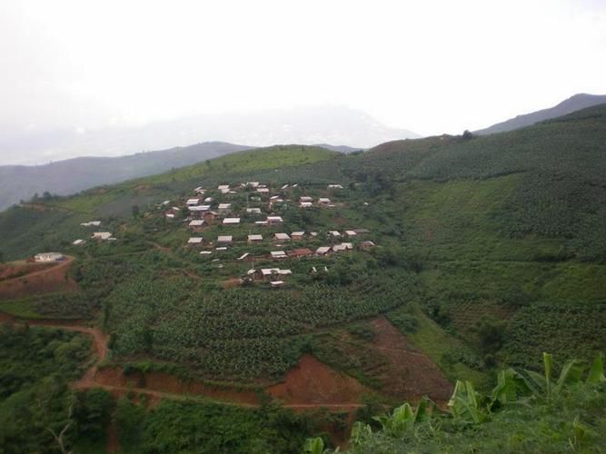 【云南文山壮族苗族自治州麻栗坡县地区有没有发现疫情,文山麻栗坡有哪些乡镇】