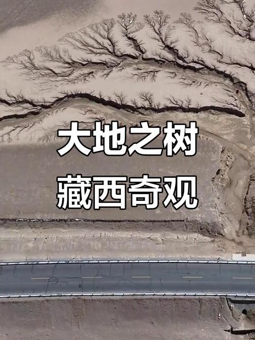尼玛县发现1名密接者!(尼玛县最有名的措)