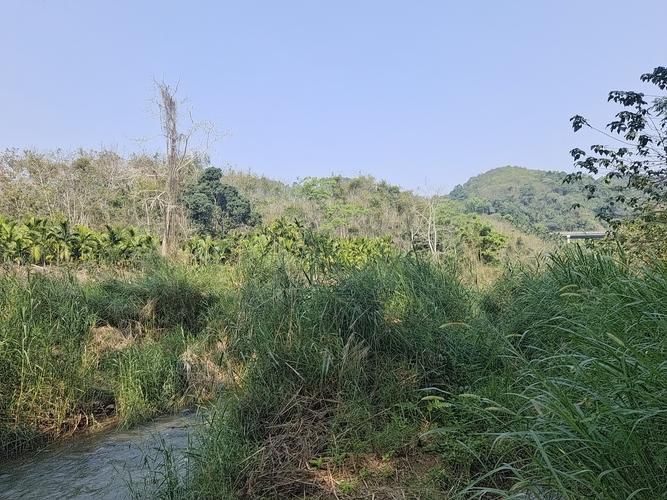 疫情公告海南省省直辖县级行政区划琼中黎族苗族自治县最新/海南琼中黎族自治县属于哪个市