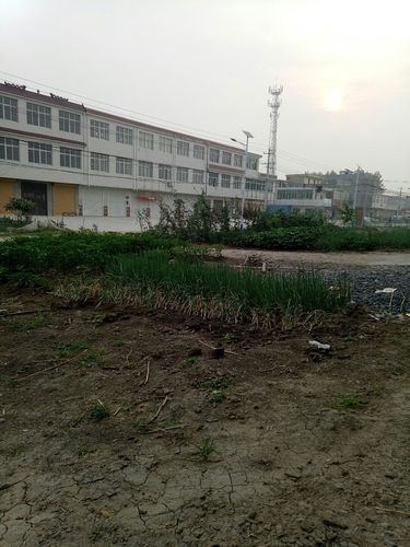 【查找安徽省宿州市灵璧县最新疫情,安徽省宿州市灵璧县外号】