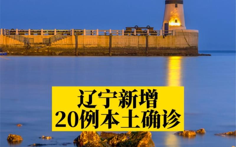山西省临汾市安泽县新增无症状感染者19例,均在宁夏回族自治区中卫市海原县的简单介绍