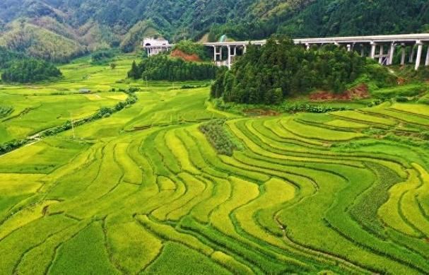 广西壮族自治区柳州市融水苗族自治县疫情最新消息/广西柳州融水新闻头条