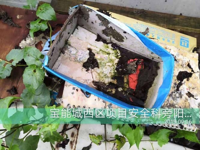 【西区街道今日新增感染趋势回落,西区街道办事处官网入口】