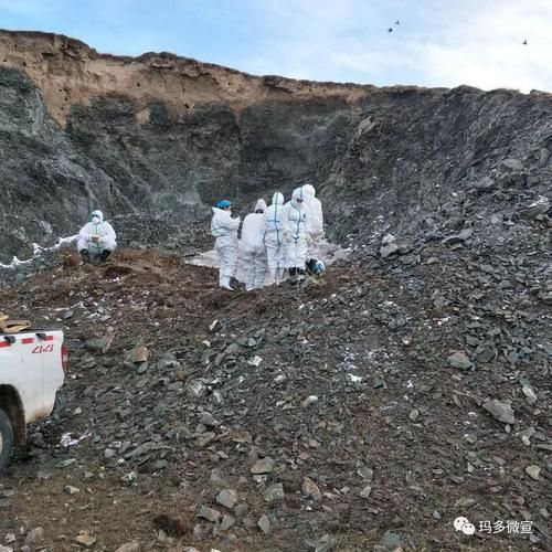玛多县累计报告阳性感染者12例_玛多县集中整治视频