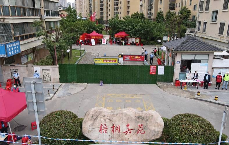 安徽省淮南市田家庵区疫情防控中风险地区(安徽省淮南市田家庵区湖滨村标准件)