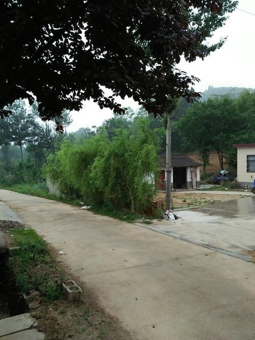 甘肃省陇南市徽县今日新增破17:甘肃省陇南市徽县分散特困供养供养