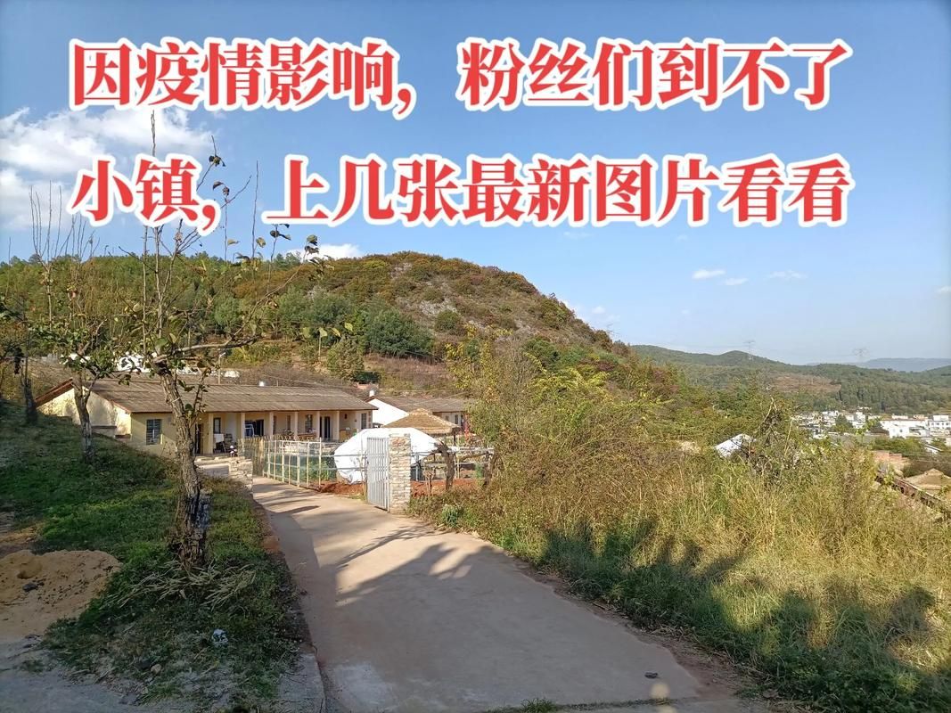 【山西省晋中市介休市几个地区有疫情发生_山西省晋中市介休市洪山镇有哪些村】